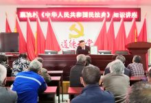 法官调解解纷扰，9棵杂树应声倒-雉水网