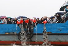 长江大保护｜如皋：十万鱼苗“下”长江-雉水网