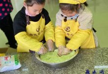 艾草味飘香 唯有青蒿团——如皋市西城幼儿园“做蒿团”体验活动-雉水网
