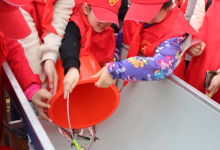 如皋农业农村局联合长江镇助力长江渔业资源保护-雉水网