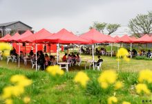 赴一场红色阅读“π”队，用氤氲书香解锁如城首届“草坪读书节”-雉水网