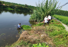 水美人美家美村更美 ――如皋市吴窑镇整治人居环境助力乡村振兴侧记-雉水网