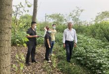 邻里通行起纠纷   审执协调促和解-雉水网