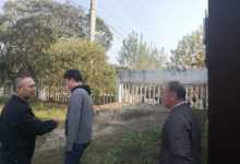 被查封的桂花树不翼而飞？如皋法院紧急出警让树归原处！-雉水网