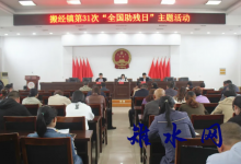 搬经镇开展“巾帼心向党  助残奉献‘她’力量”主题活动-雉水网