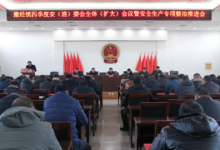 搬经镇召开四季度安(消)委会全体(扩大)会议暨安全生产专项整治推进会-雉水网