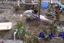 如皋市如城建设幼儿园“亲近自然，乐享泥巴”-雉水网