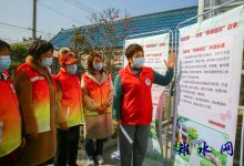 如皋市如城街道妇联组织开展“吾爱吾家 我家‘美丽庭院’故事”活动-雉水网