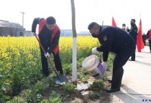 公益赠书注入振兴动能,义务植树增添乡村新绿-雉水网