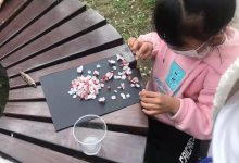 如皋市如城建设幼儿园：遇见春天    留住美好-雉水网