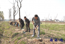 南通雉水文化传媒有限公司党支部开展植树节主题活动-雉水网