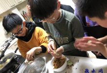 愿国随春好，青团寄相思 ——城南实验小学四（12）中队“清明节做的一件事”主题实践活动-雉水网