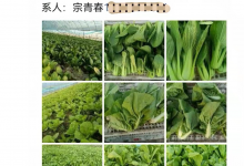 战“疫”助农！“网格化+退伍军人”， 打通服务“最后一公里”-雉水网