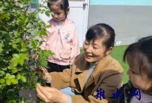 韶华远去，初心依旧 ——记吴窑镇吴窑幼儿园王贵萍-雉水网