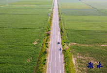 如皋磨头：生态美景入画来，美丽宜居引良贤-雉水网