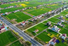 如皋白蒲：润物无声聚民心，文明花开满眼春-雉水网