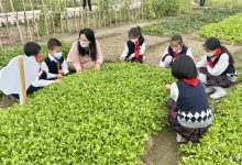 童心向党担使命 劳动研学励心智 ——如皋市城南小学开展劳动校外实践活动-雉水网