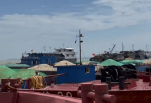 如皋港供应链成功入围洞庭湖河沙开采销售亿元战略合作伙伴-雉水网