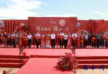 情系教育 缘定一生 如皋6对青年教师“喜结连理”-雉水网