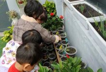 小角落大探秘-雉水网