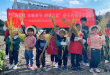 城北街道何庄社区开展“劳动有我 耕读万家”活动-雉水网