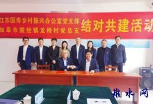 中国人寿江苏省分公司党委书记张文亮赴搬经镇龙桥村开展“五方挂钩”工作调研-雉水网