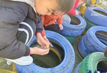 如皋市皋南幼儿园开展大雪节气主题活动-雉水网