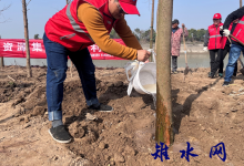 植树造林掀起志愿服务“文明风”-雉水网