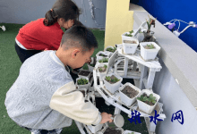 谷雨润春物  节气润童心 ——如皋市皋南幼儿园开展主题活动-雉水网