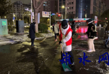 “遇雪”奋战保畅通 如皋皋环清洁在行动-雉水网
