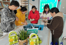 如皋市长江镇永平社区：传统与现代的融合，弘扬烈士精神与传承文化-雉水网