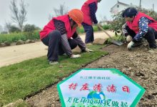 提升宜居环境 共建和美乡村 ——如皋市长江镇平南社区村庄清洁日活动总结-雉水网