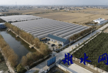 如皋生态环境局:独拥两个“国字号”,南通如皋生态农场借绿“出圈”-雉水网