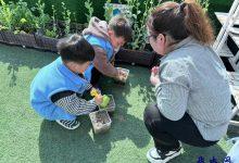 如皋市皋南幼儿园开展系列综合实践活动, 促进幼儿全面发展-雉水网