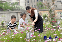 托起朝阳 以爱育人——记如皋市长江镇新港幼儿园汤雪-雉水网