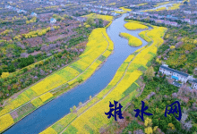 如皋:生态河道成百姓家门口的“生态乐园”-雉水网