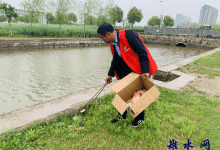 如皋市平南社区创新举措:农药包装废弃物与废旧农膜回收助力生态宜居新风尚-雉水网