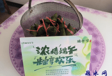 如皋市长江镇郭园社区开展“浓情端午，粽享欢乐”端午节主题活动-雉水网