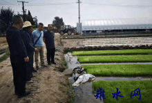 如皋磨头老科协送服务到田头-雉水网