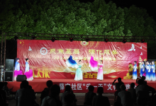 展现乡村活力！如皋市长江镇薛窑社区开展“乐一天”文体联欢活动-雉水网