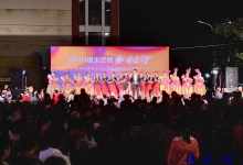 如皋市长江镇永平社区:“雉水之夜”照亮乡径 文化之旅温暖人心-雉水网