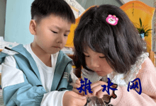 以“水”为媒 妙手为“器”-雉水网