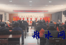 如皋市长江镇小村春晚奏响和美乡村新乐章-雉水网