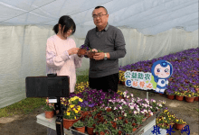 如皋市城北街道花园桥社区:线上集市开播,云端助农年味足-雉水网