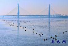 江潮如练映皋城——长江保护法施行四周年(如皋篇)-雉水网