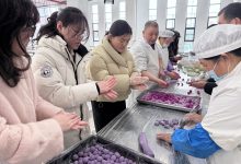 五彩汤圆，情暖元宵——如皋师范学校第三附属小学党支部开展爱心行动-雉水网