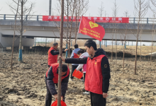 植绿唤春，续写“军”绿 如皋市长江镇长江社区邀请退役军人共赴植树节之约-雉水网