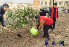 如皋市长江镇海坝社区新时代文明实践站举行“春泥筑绿，戎耀同行”植树节活动-雉水网