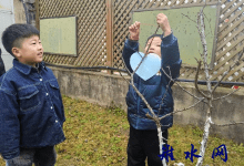 “领养一棵树 担起一份责”——如皋市长江镇车马湖幼儿园开展植树节活动-雉水网