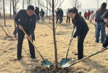党旗耀司法,绿满龙游湾——如皋市港城实验学校小学支部投身湿地植树活动-雉水网